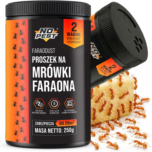 co na mrowki faraona