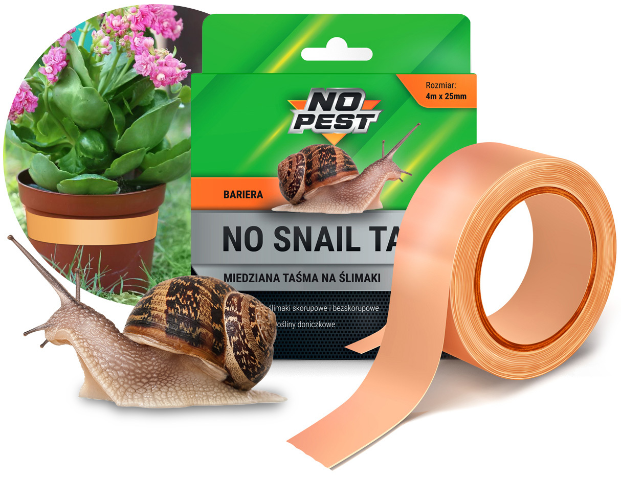 lep na owady, lep na muchy, lepiec na muchy, pułapka na muchy, pułapka na owady, wabik na owady, wabik na muchy, lep na karaluchy, lep na chrząszcze