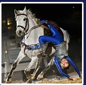 "Mondwind" kommt live nach Wien