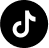 TikTok icon