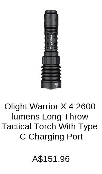 Hunting Torch