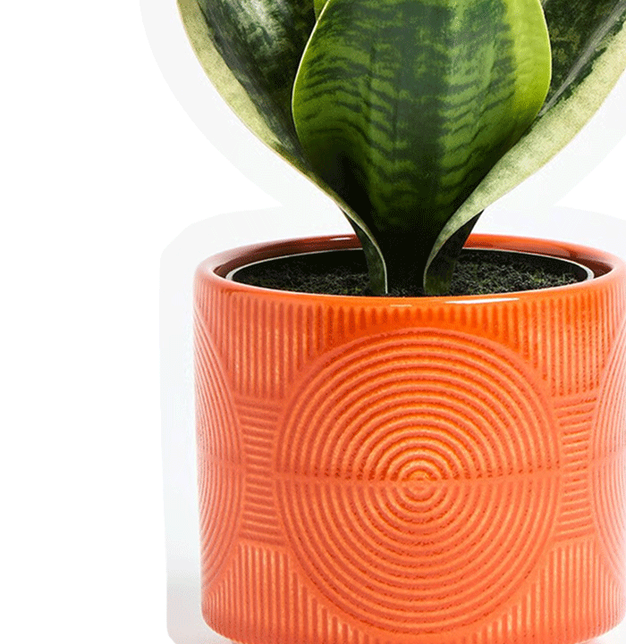 Punta Orange Ceramic Plant Pot