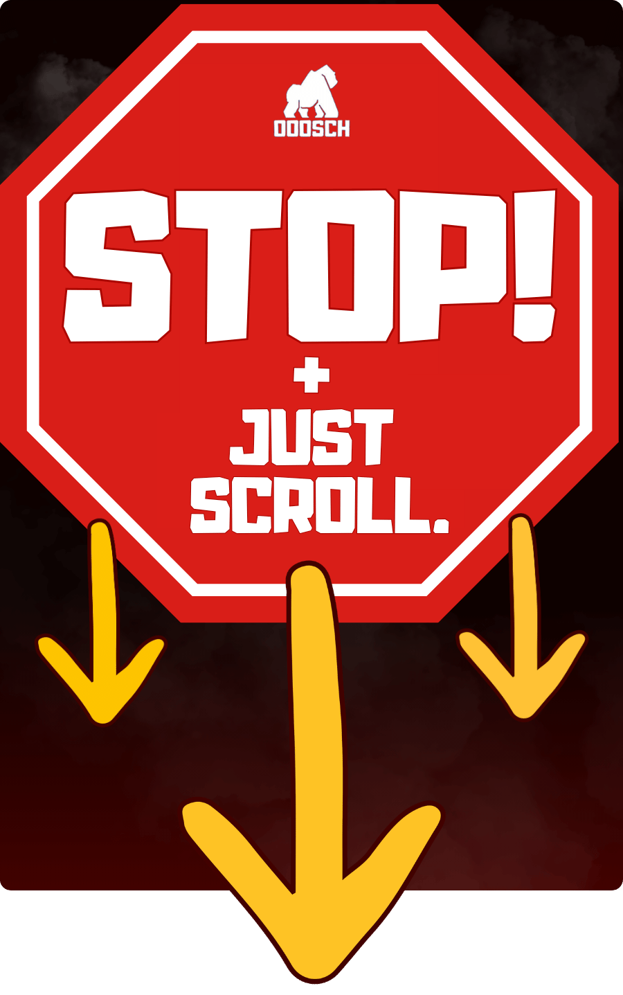 Ooosch_Spyder