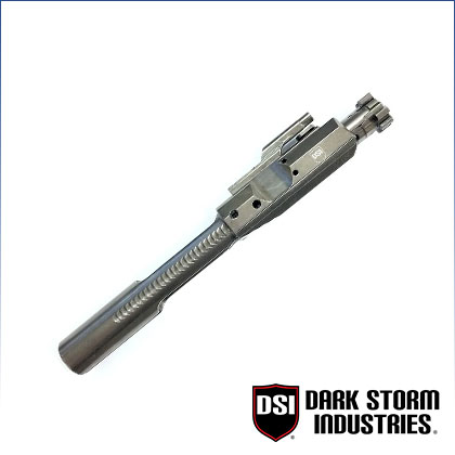 DS-10 .308 Bolt Carrier Group