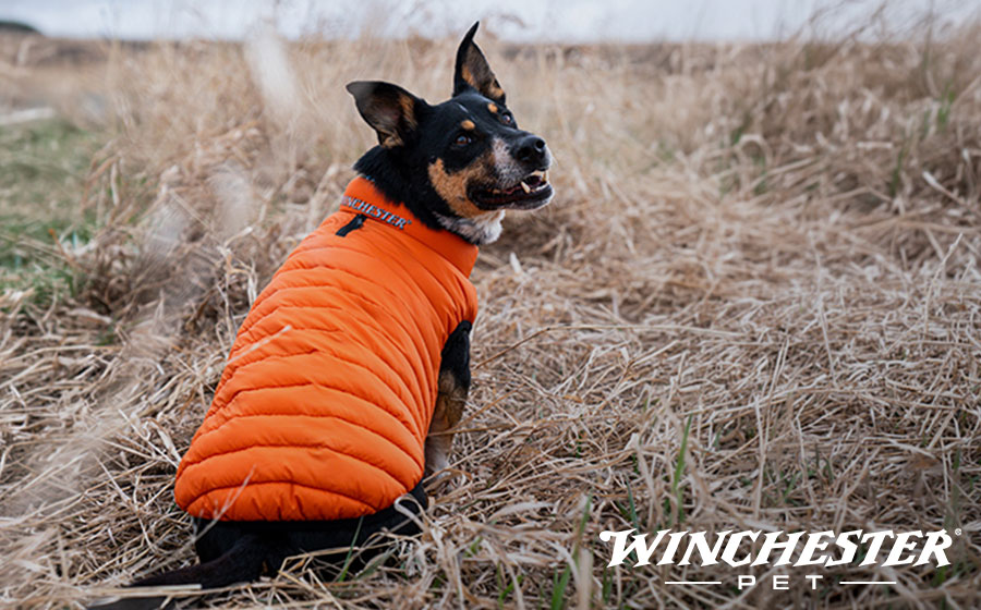 Winchester Pet Winter Apparel Deals