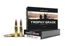Nosler Trophy Grade .308 Winchester 165 Grain AccuBond Brass Cased Centerfire Rifle Ammunition