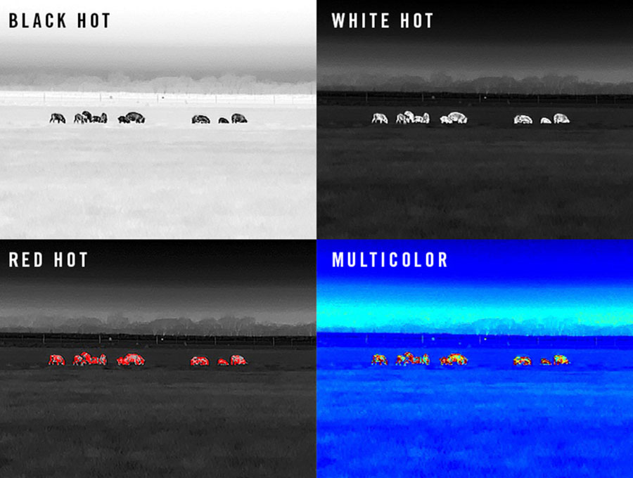 Multiple Color Palette Options