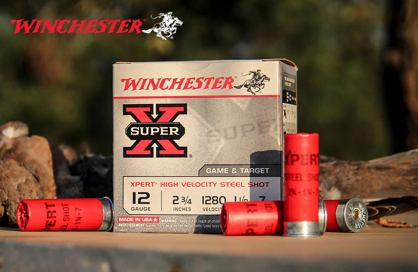 Winchester
