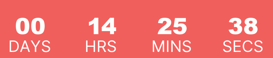 Christmas Flash Sale