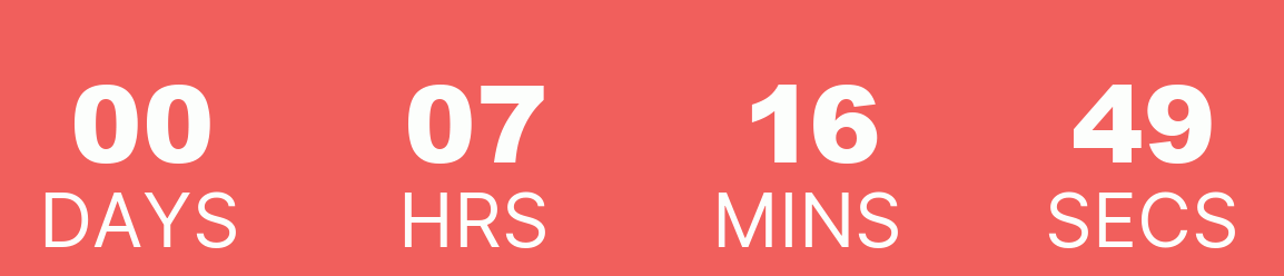 Christmas Flash Sale