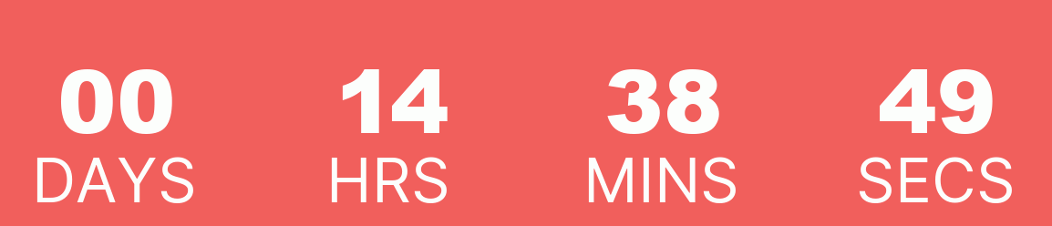 Christmas Flash Sale