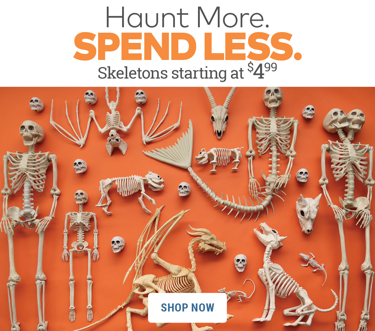 Haunt More. Spend Less. Skeletons Starting at $4.99.