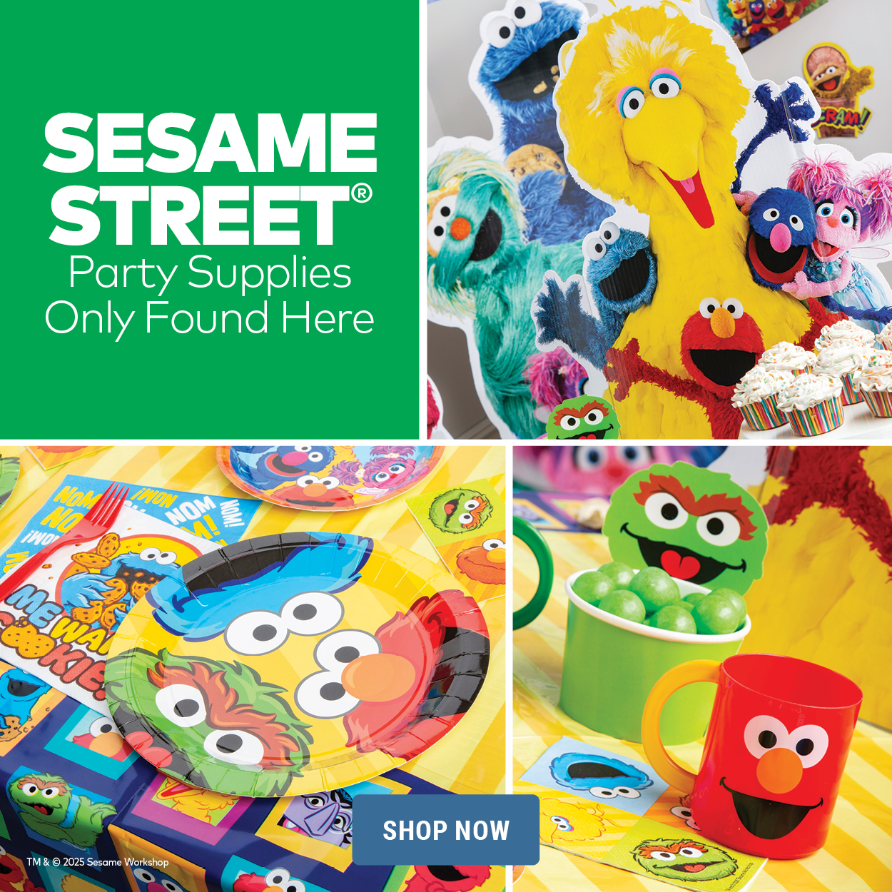 Sesame Street Party Supplies - Only Found Here