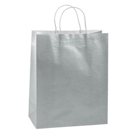 Large Silver Kraft Paper Gift Bags - 12 Pc.