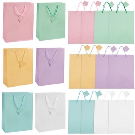 10" x 13" Large Pastel Paper Gift Bags - 12 Pc.