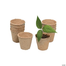 2" Small Biodegradable DIY Watch It Grow Seed Pots - 24 Pcs.