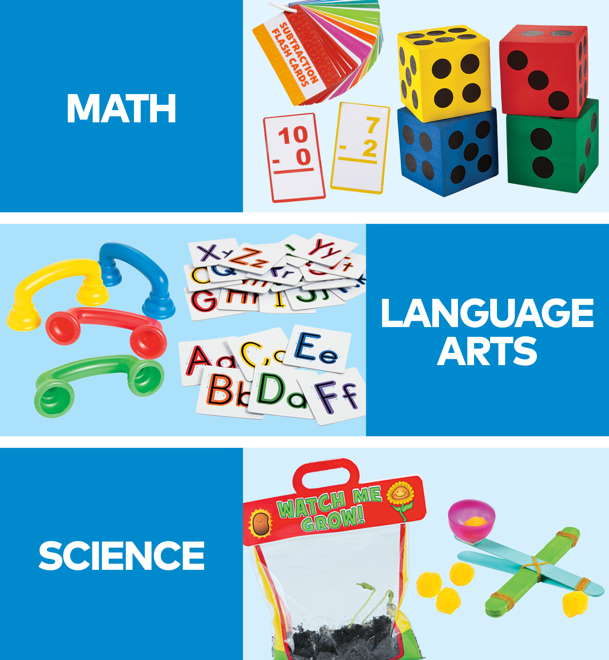 Curriculum