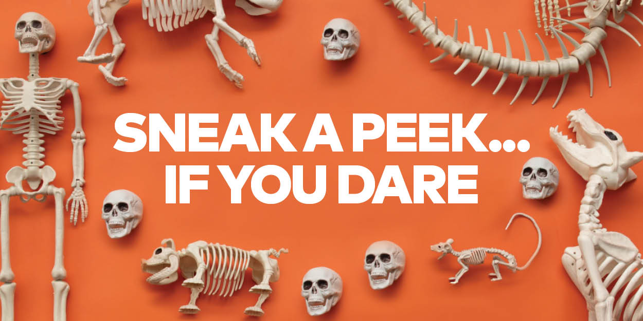 Sneak a Peek Halloween