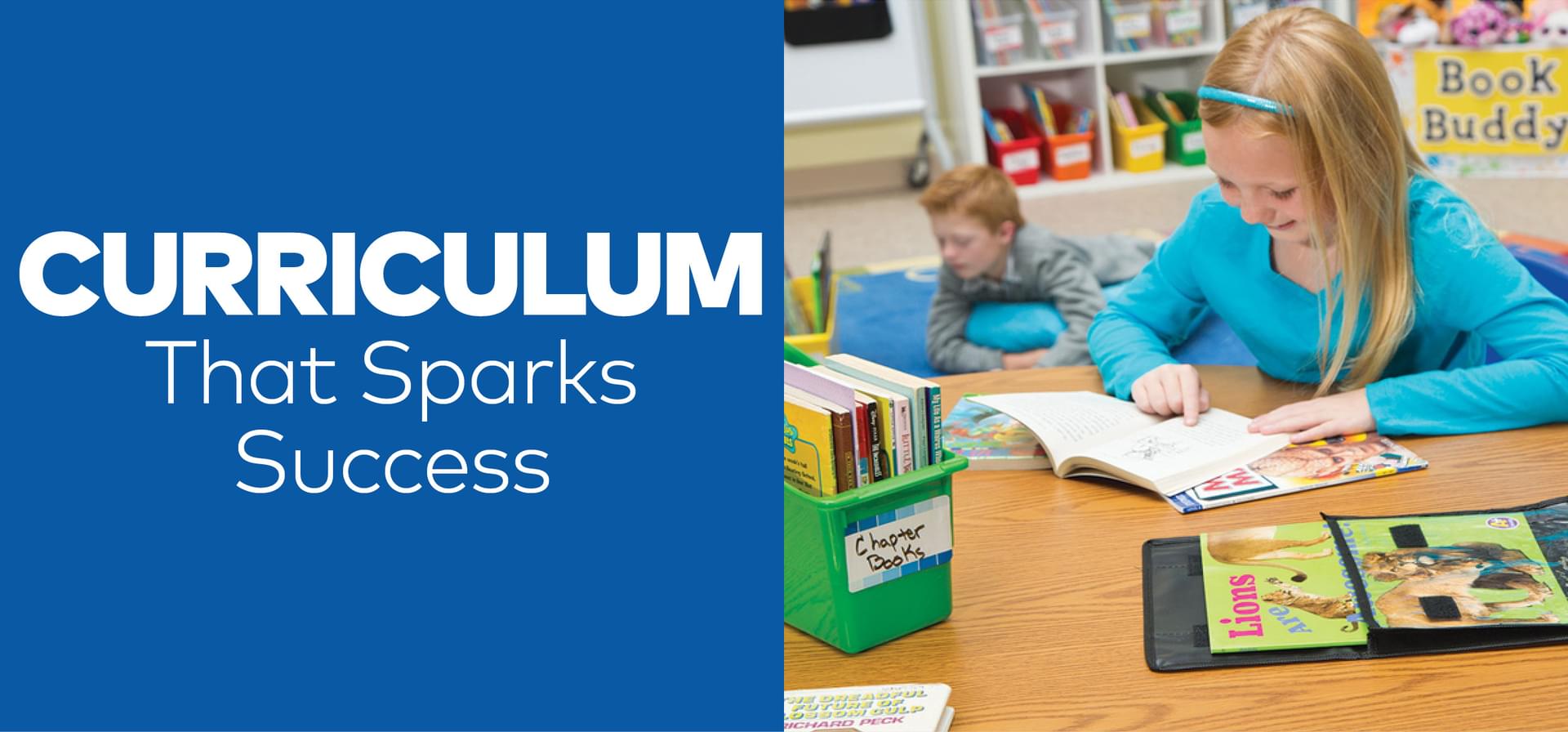 Curriculum