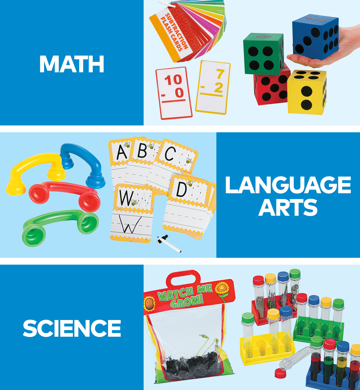 Curriculum