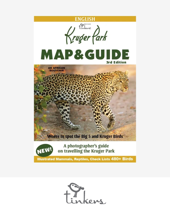 Igloo Latitude Coolers