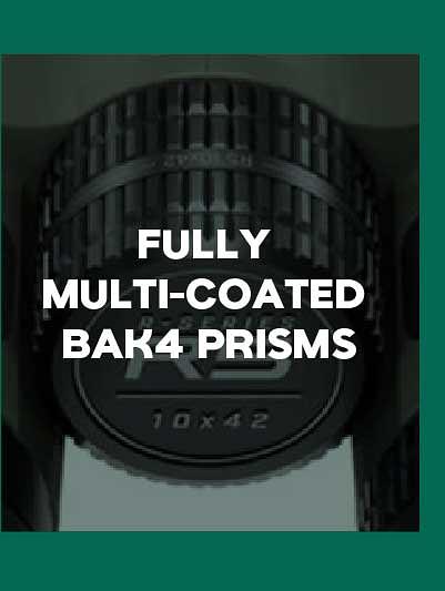 Bushnell R5 10x42