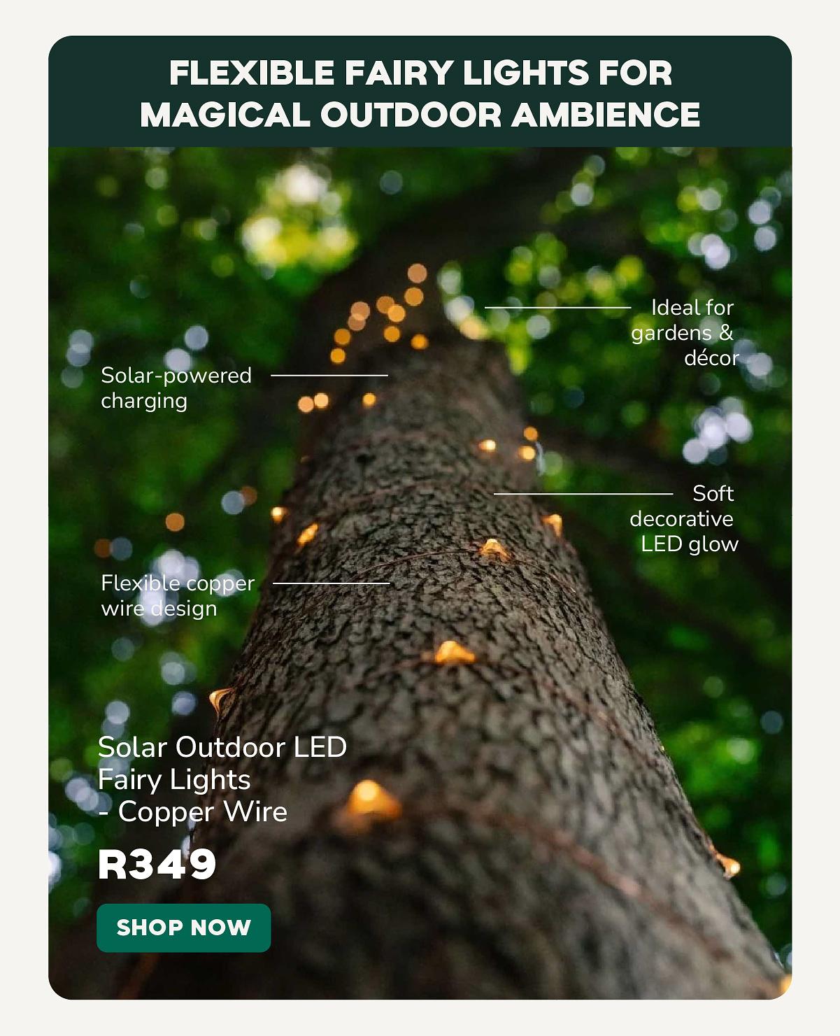 Litehouse Solar Outdoor LED Fairy Lights - Copper Wire