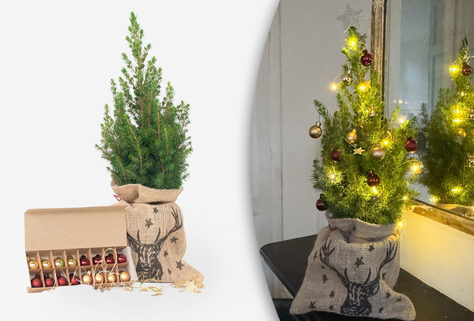 Mini kerstboom in mand met licht en versiering