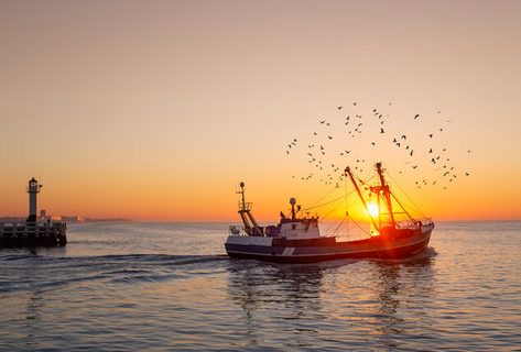 Viersterrenverblijf in Blankenberge