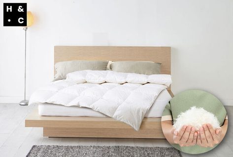 Bettdecke mit Entendaunen