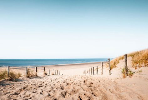 Kulinarisches Paket am Strand von Scheveningen