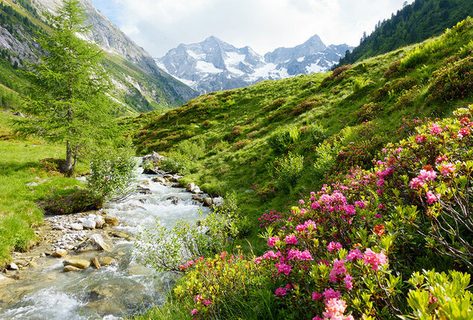 Last Minute: Sommer im &ouml;sterreichischen Zillertal