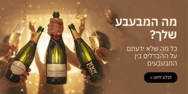 בלוג מבעבעים