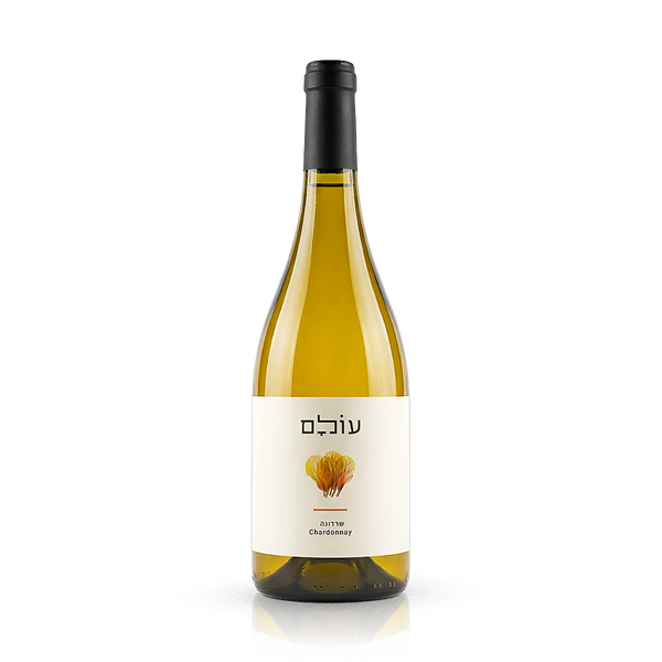 עולם לבן שרדונה