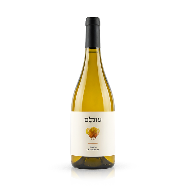 עולם לבן שרדונה