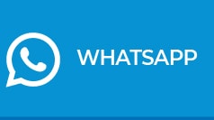 Whatsapp Pardo