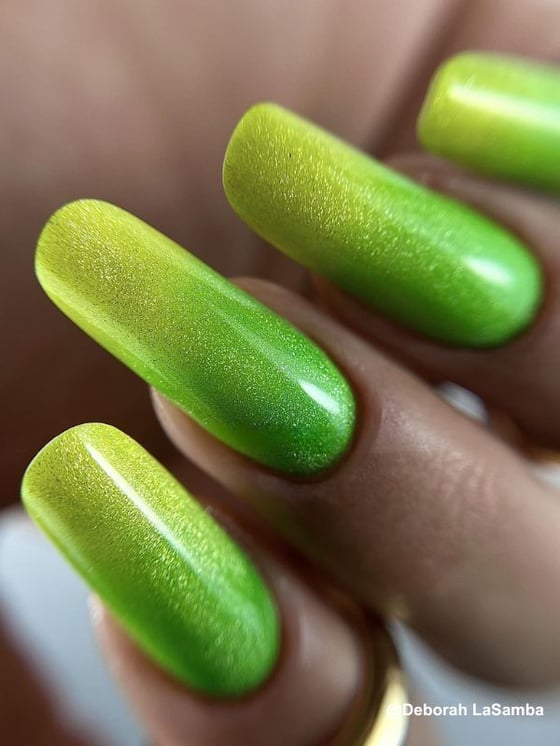 17-Jun-09-2025-10-38-41-8154-AM