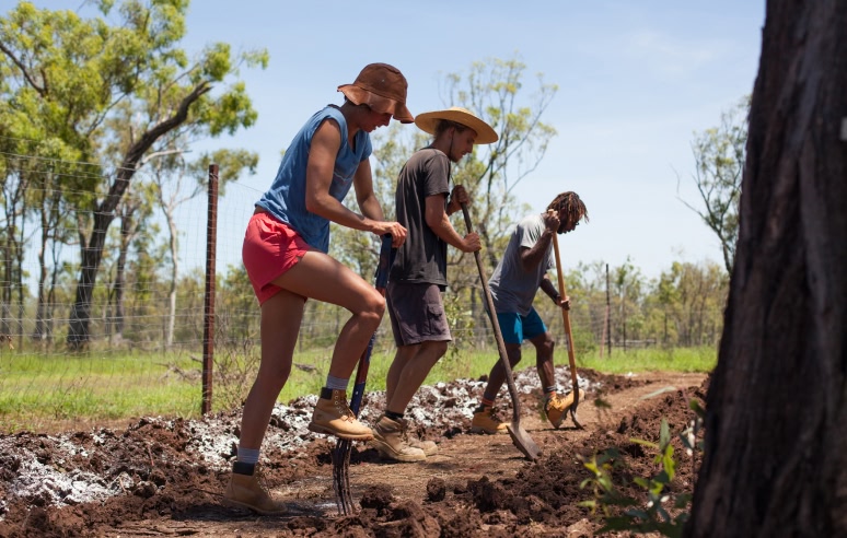 hree people digging rows in the soil.
