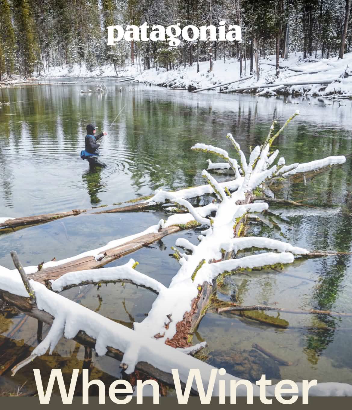 Patagonia. An angler wades into water beside a snow-covered log.
