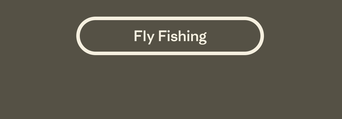 Fly Fishing