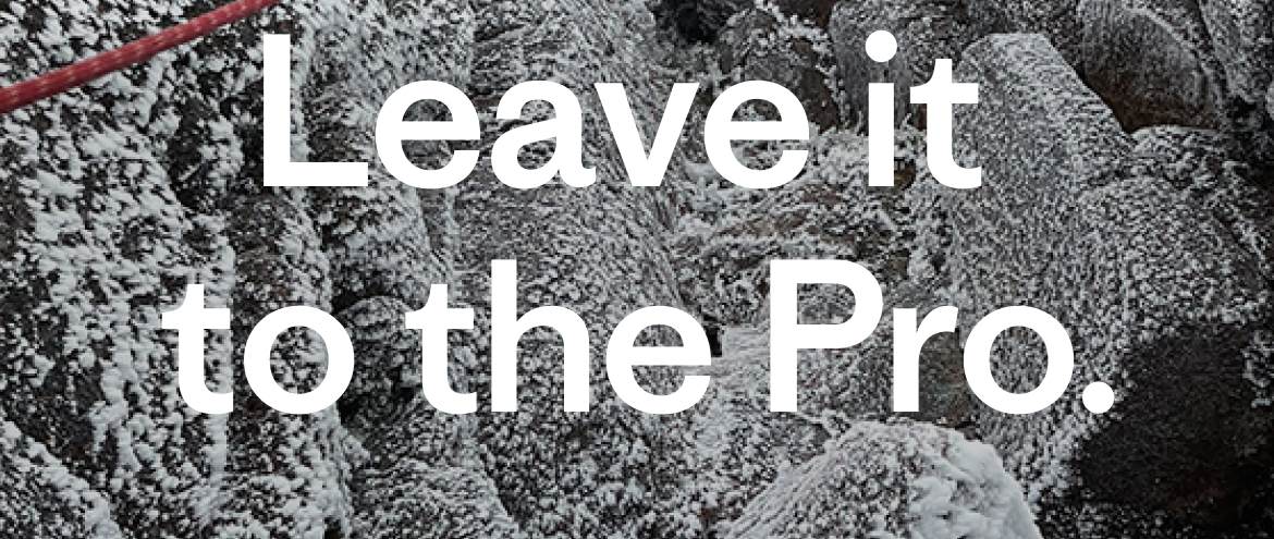 Leave it to the Pro.