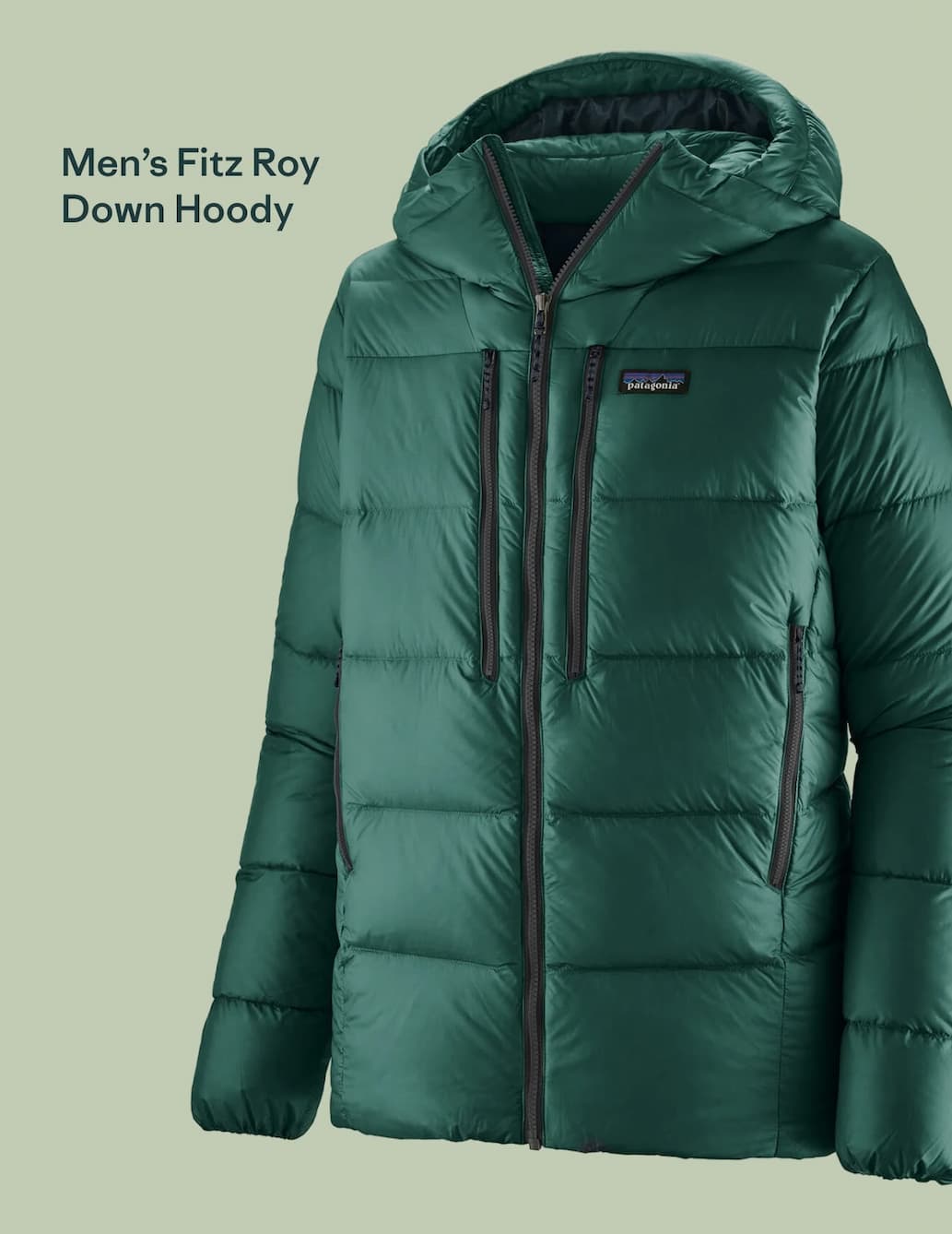 Men’s Fitz Roy Down Hoody