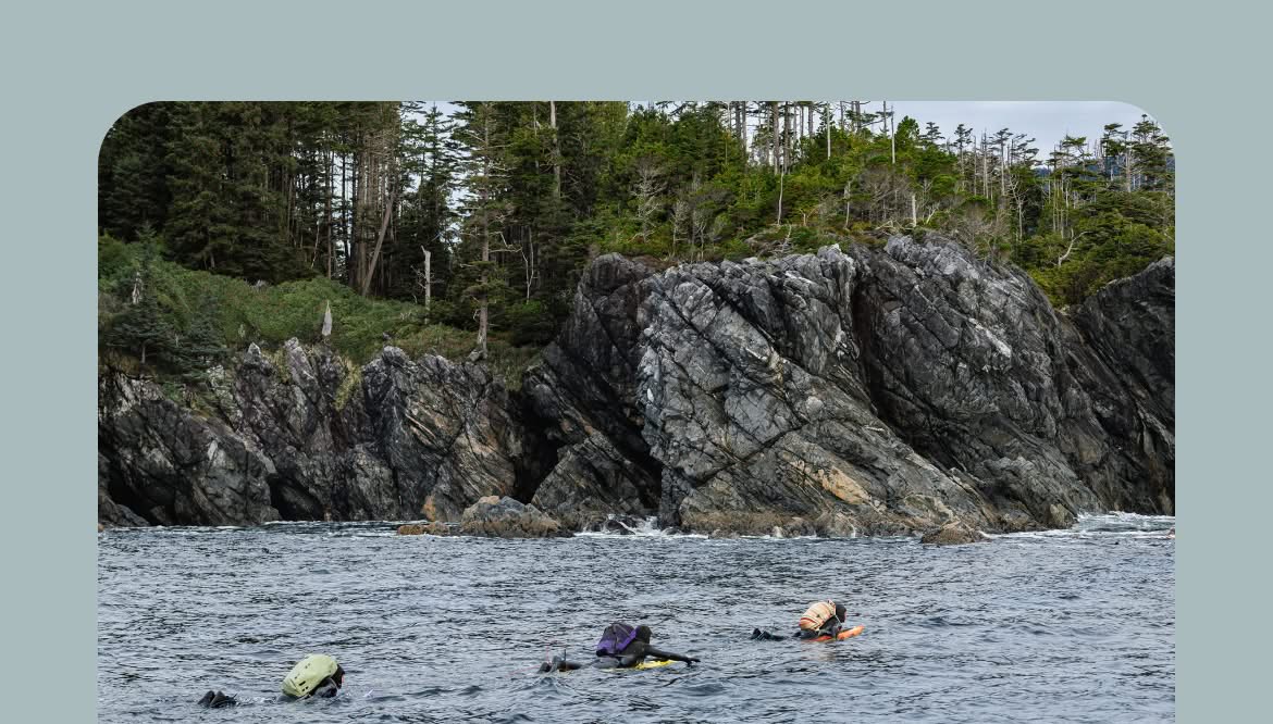 Three surfers paddle to shore with wet-dry backpacks. 
