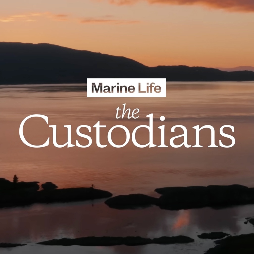 Marine Life. The Custodians.