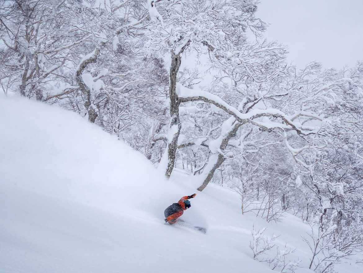 A snowboarder carves a big rooster tail on a powder day.