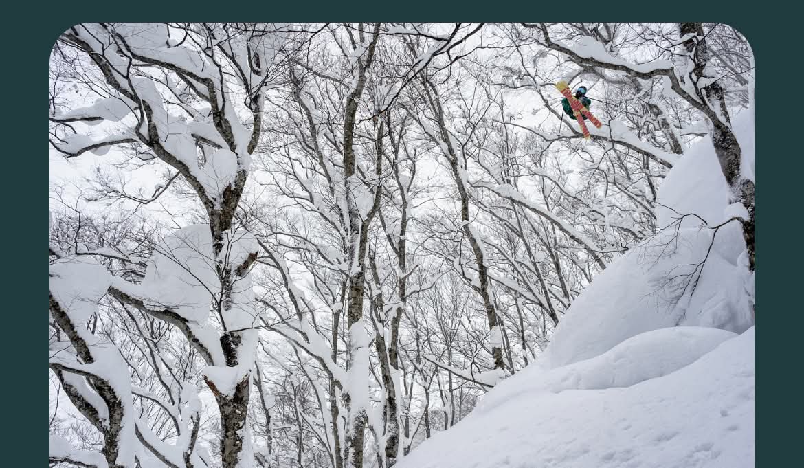 A skier catches air between trees on a powder day.