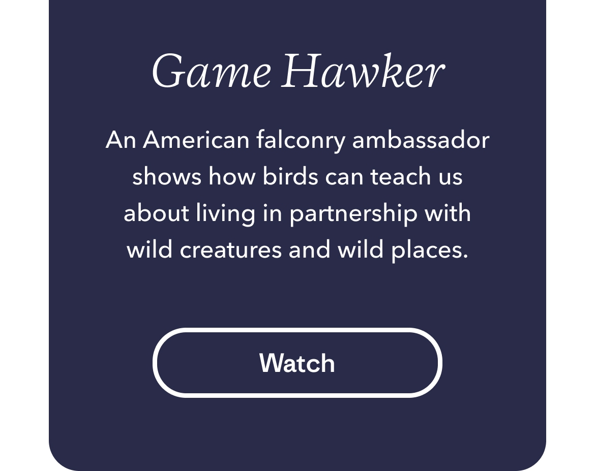 Game Hawker. An American falconry ambassador shows how birds can teach us about living in partnership with wild creatures and wild places.