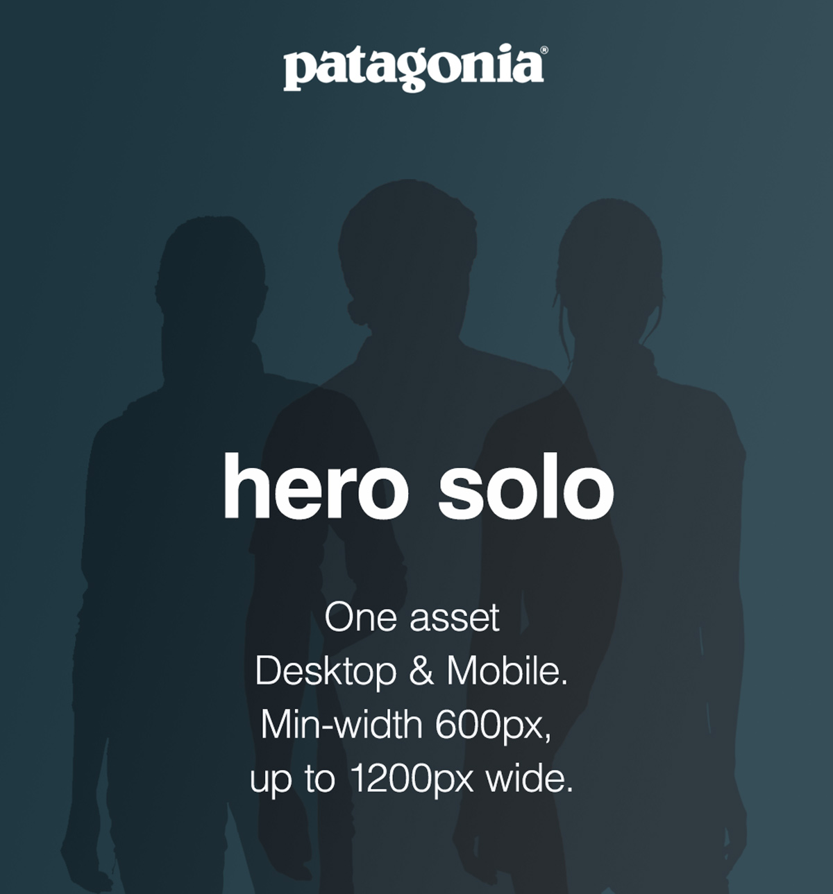 Missed Connections. Two birds perch on cactus flowers with bees in the background.