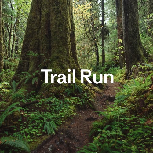 Trail Run