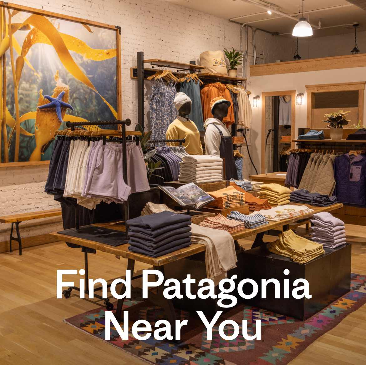 Find a Patagonia Near You